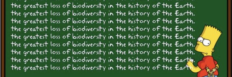 w_leconey's profile banner image