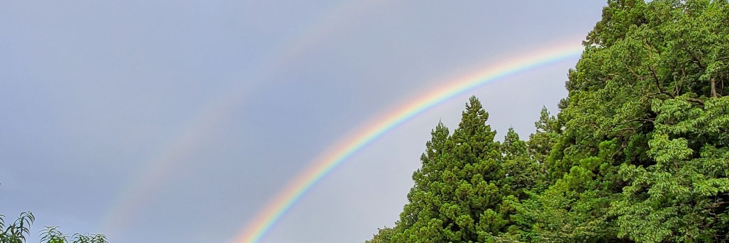 chez_ran's profile banner image
