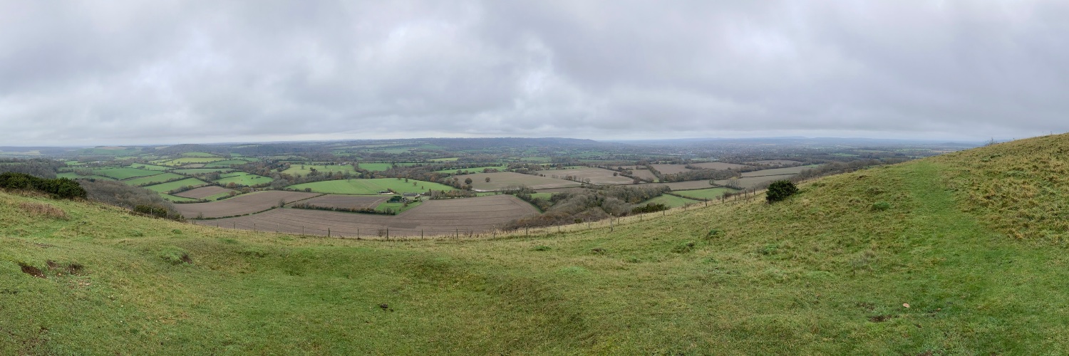 Sue Mulcaster banner