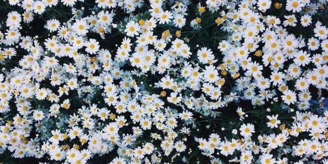 jetaime_kell's profile banner image