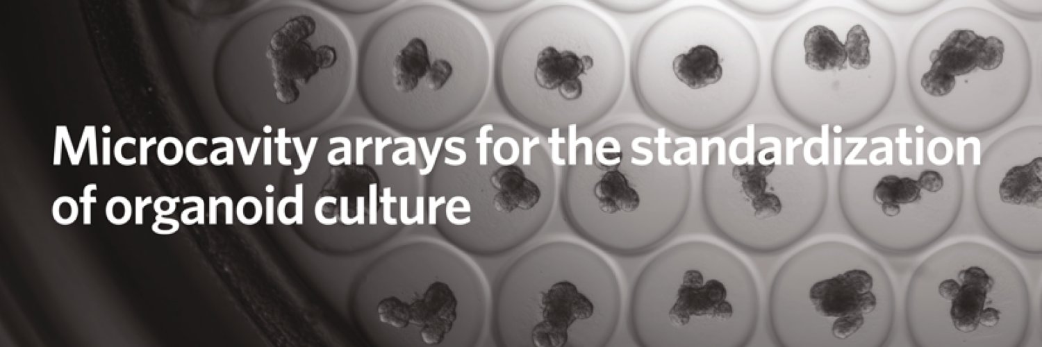 SUN bioscience banner