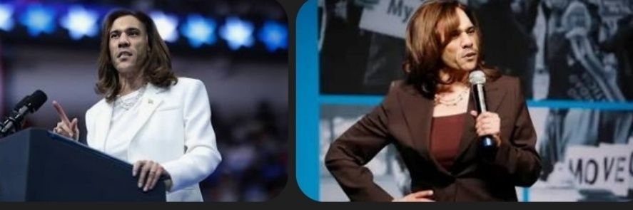 Chamala Harris banner