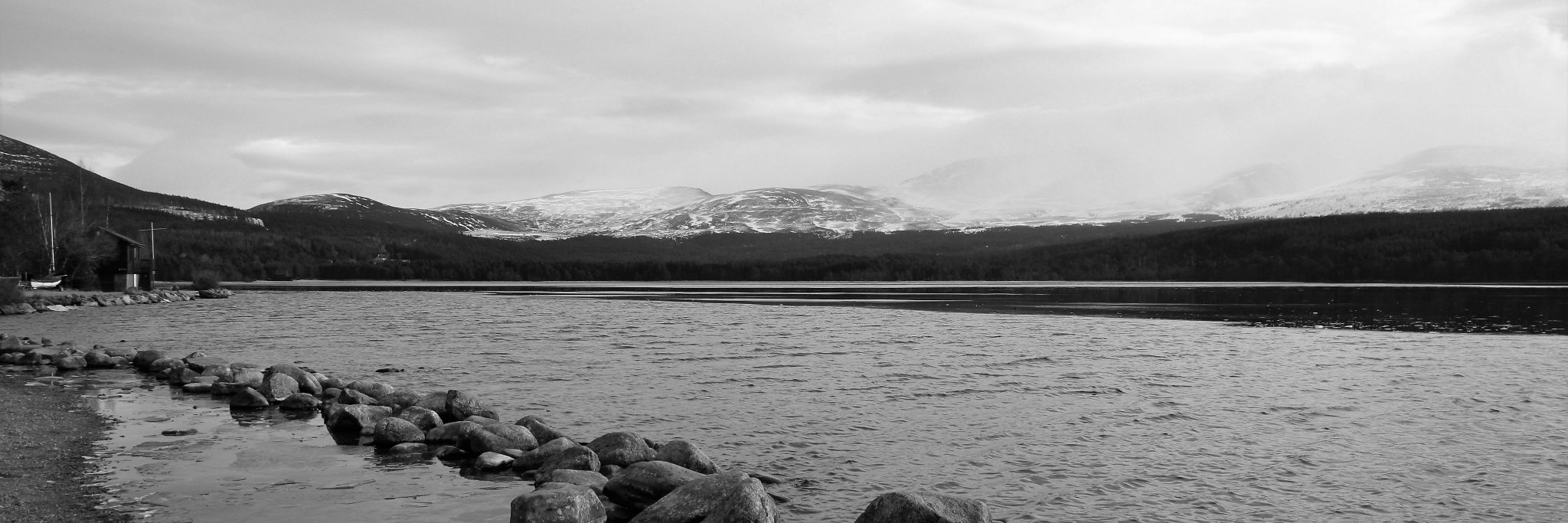 CosettaMS's profile banner image