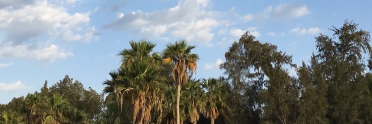 يارب أسعدني ♥ meme banner