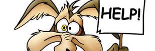 fzhps's profile banner image