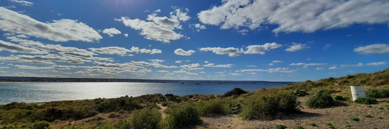 Patricia🇦🇷 banner