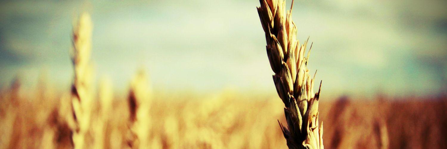 miranda_kae4's profile banner image
