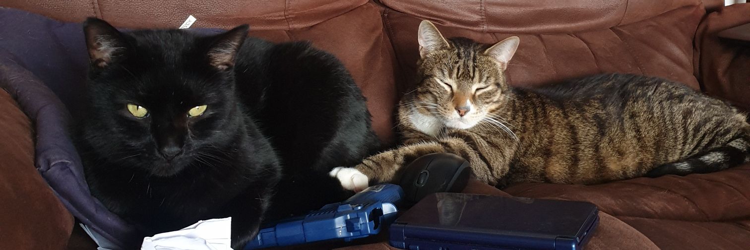 Emma Self RN, DN, BSc, MSc, Queen’s Nurse banner