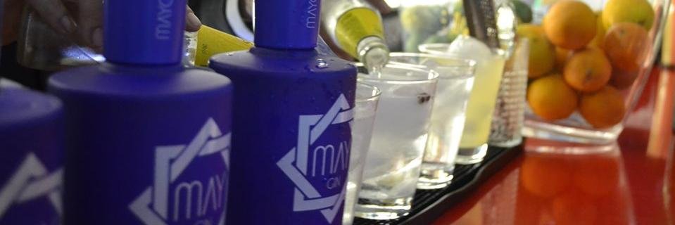 MAYGinPremium's profile banner image