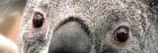 JackSpong's profile banner image
