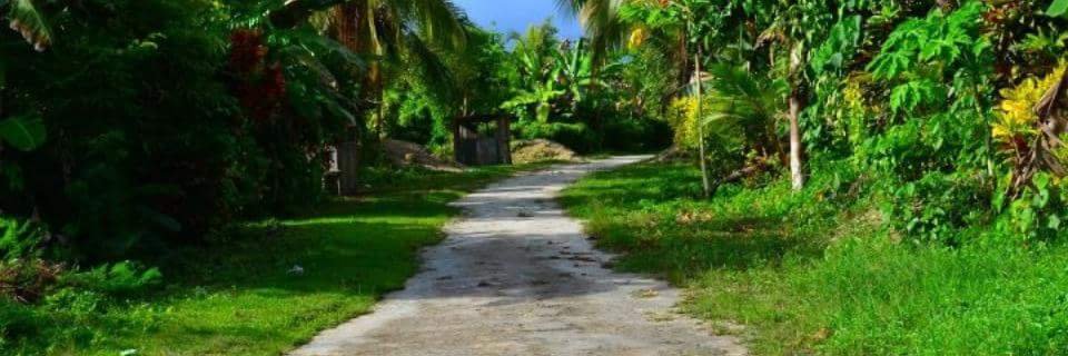 TheFootGroup's profile banner image