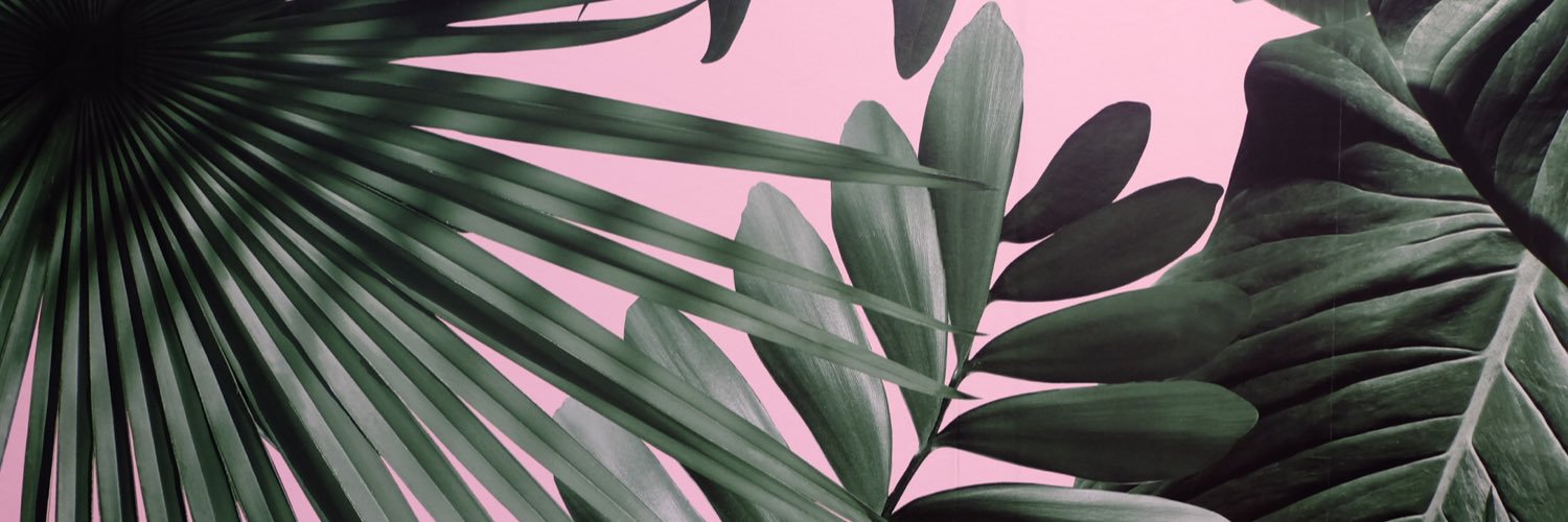 kelseypanicco's profile banner image