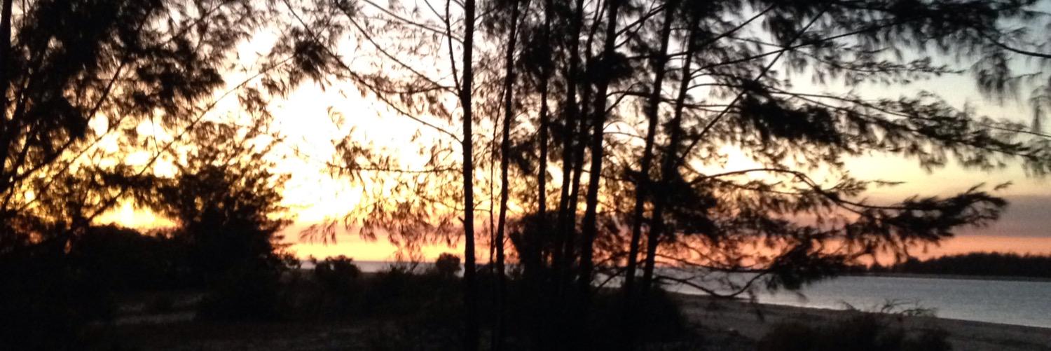 MajorTania's profile banner image