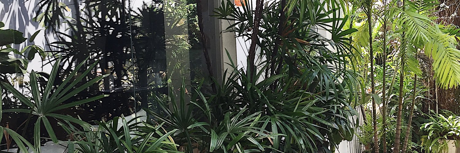 Vivapp9's profile banner image