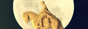 BerlangieriI's profile banner image