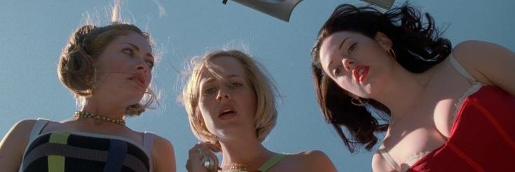 Stephanie Marcus banner