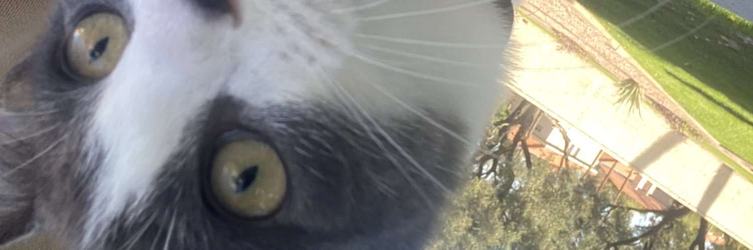 LoPonpon's profile banner image