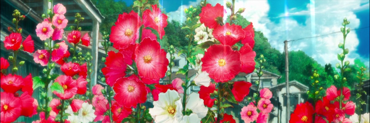 Pekola banner