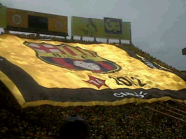 Angel Zambrano Aveig banner