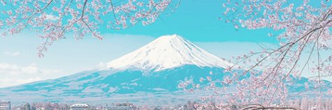 Lu banner