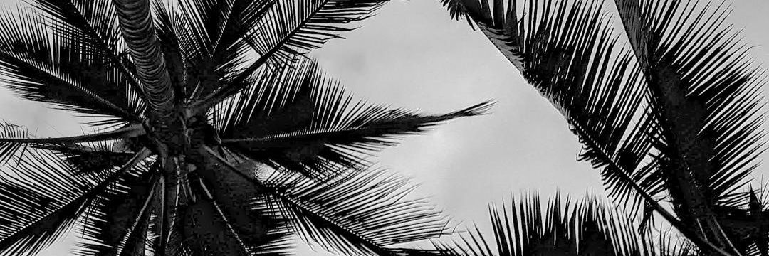 CesarArenasV's profile banner image