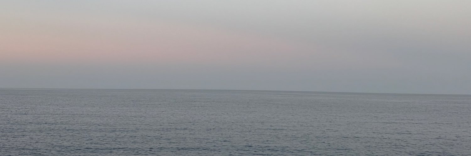 eliselacerise_'s profile banner image