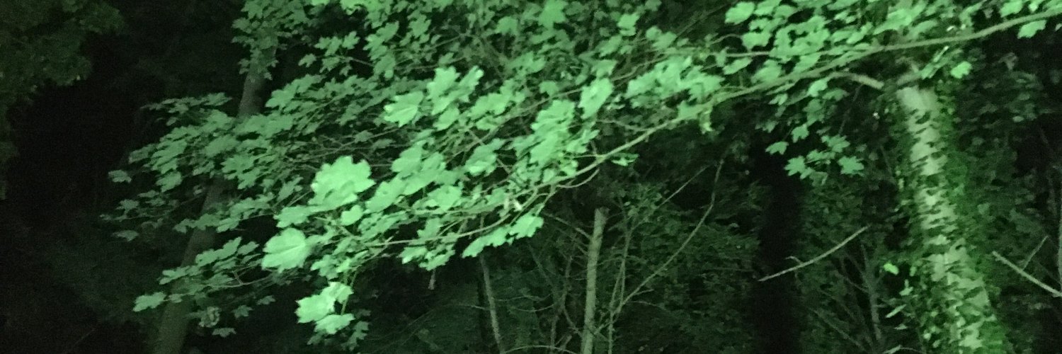 yvesheck's profile banner image