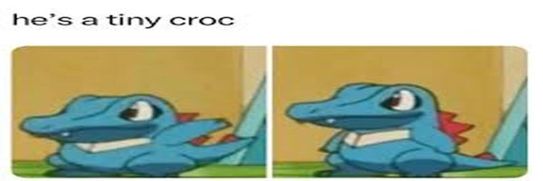 PatuDucc Profile Banner