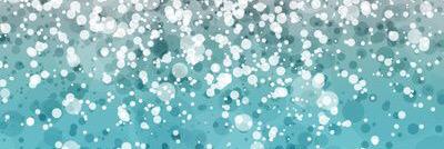 Alejandra L. Lemus banner