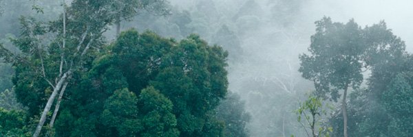 memewiitch's profile banner image