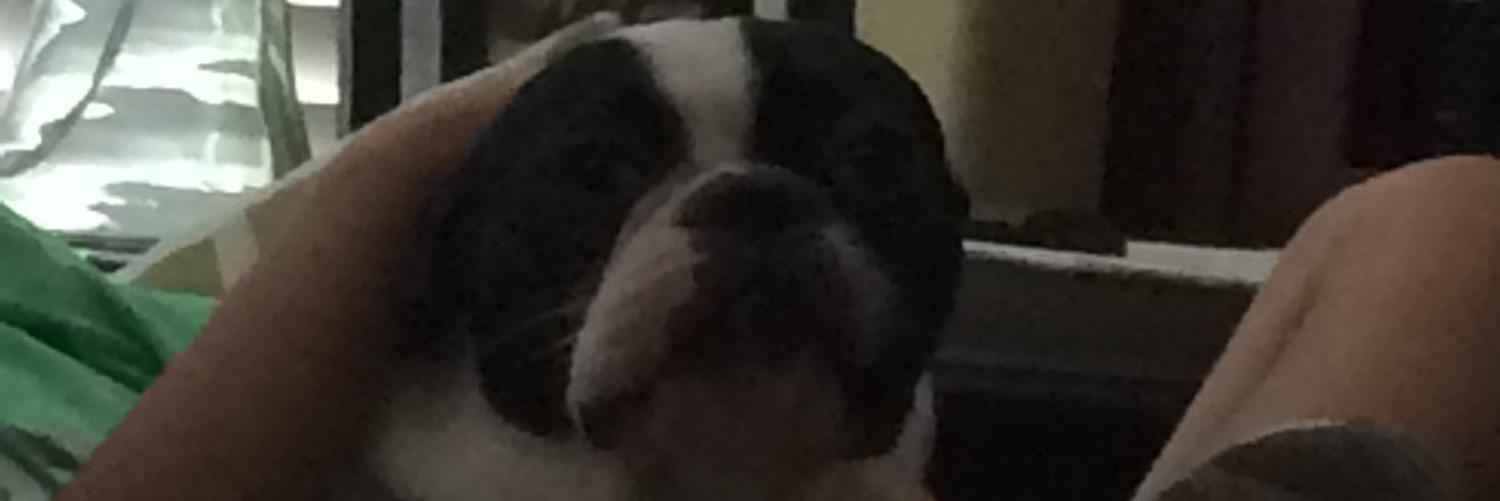 tysonntag's profile banner image