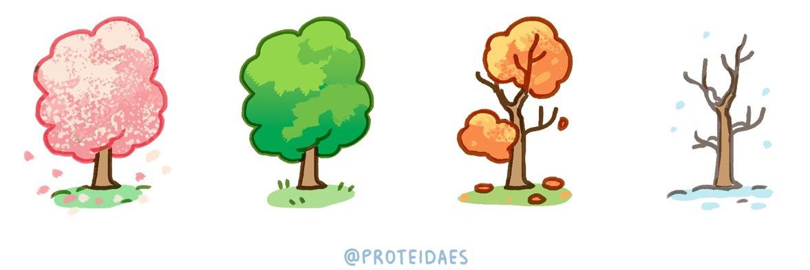 โบ้ing 🚀 🏴‍☠️ banner