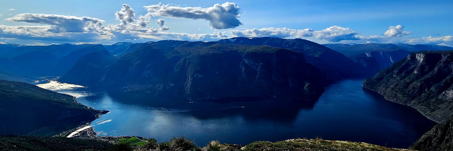 lukeconibear's profile banner image