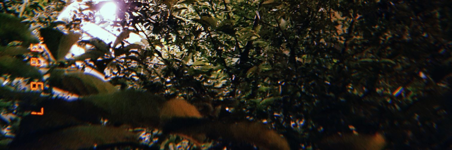 dcjans10's profile banner image