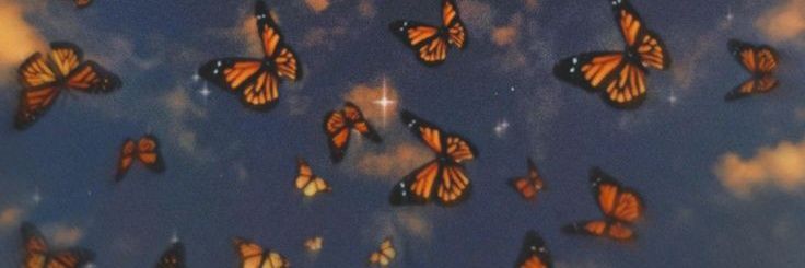 gabitricia's profile banner image