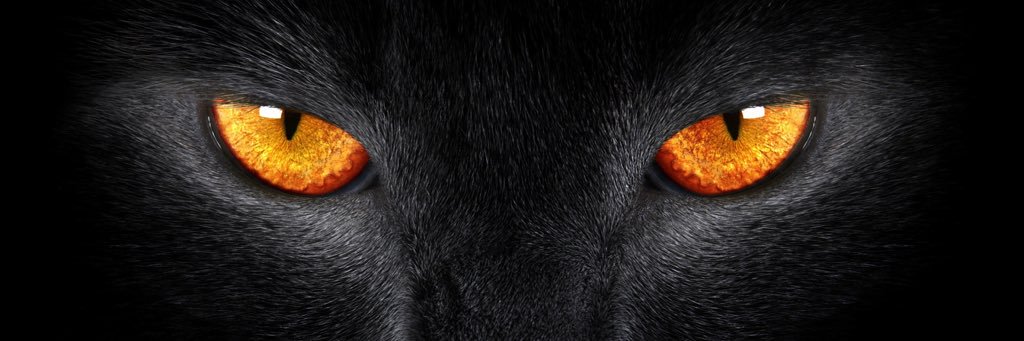 afikween's profile banner image