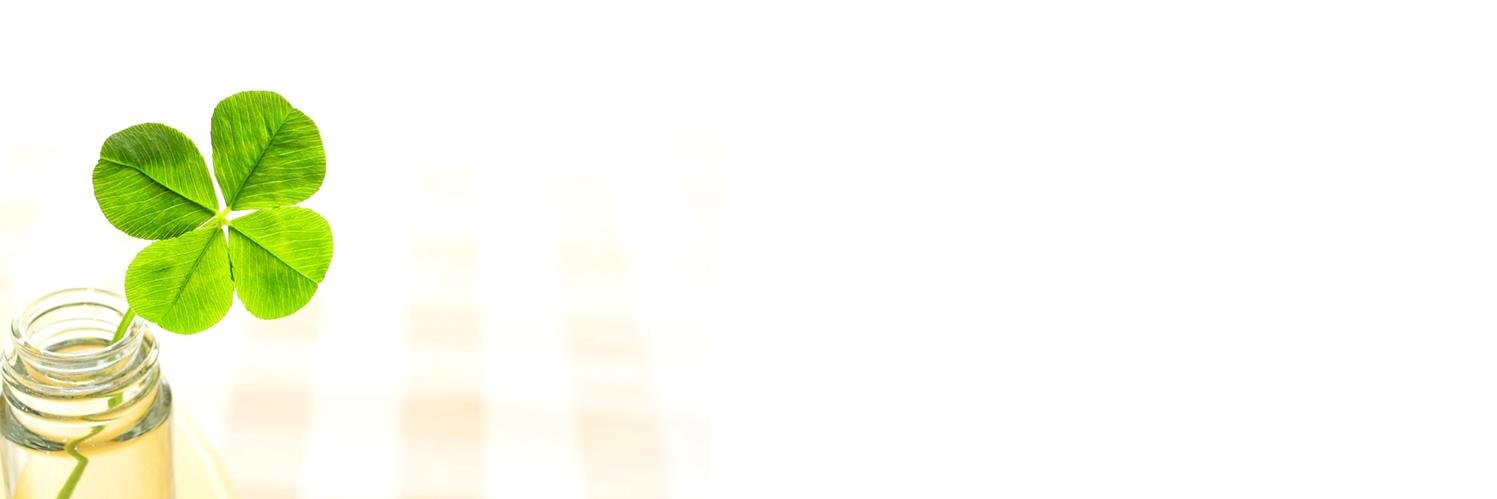 TheRadiantMom's profile banner image