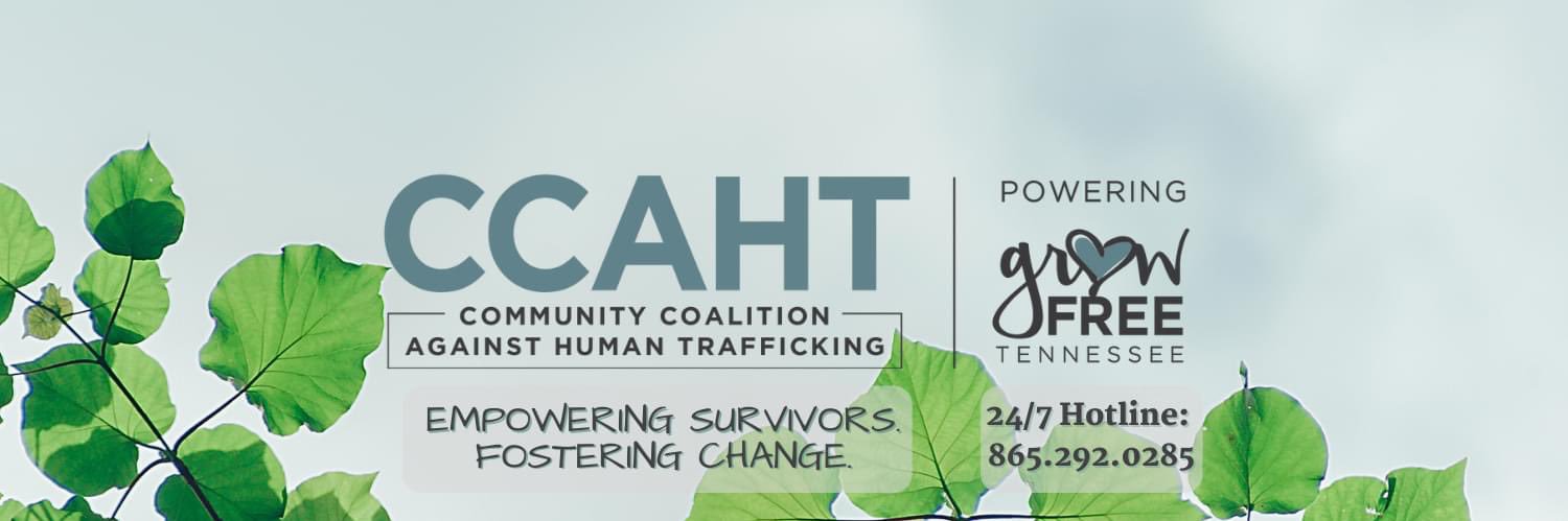 theccaht's profile banner image