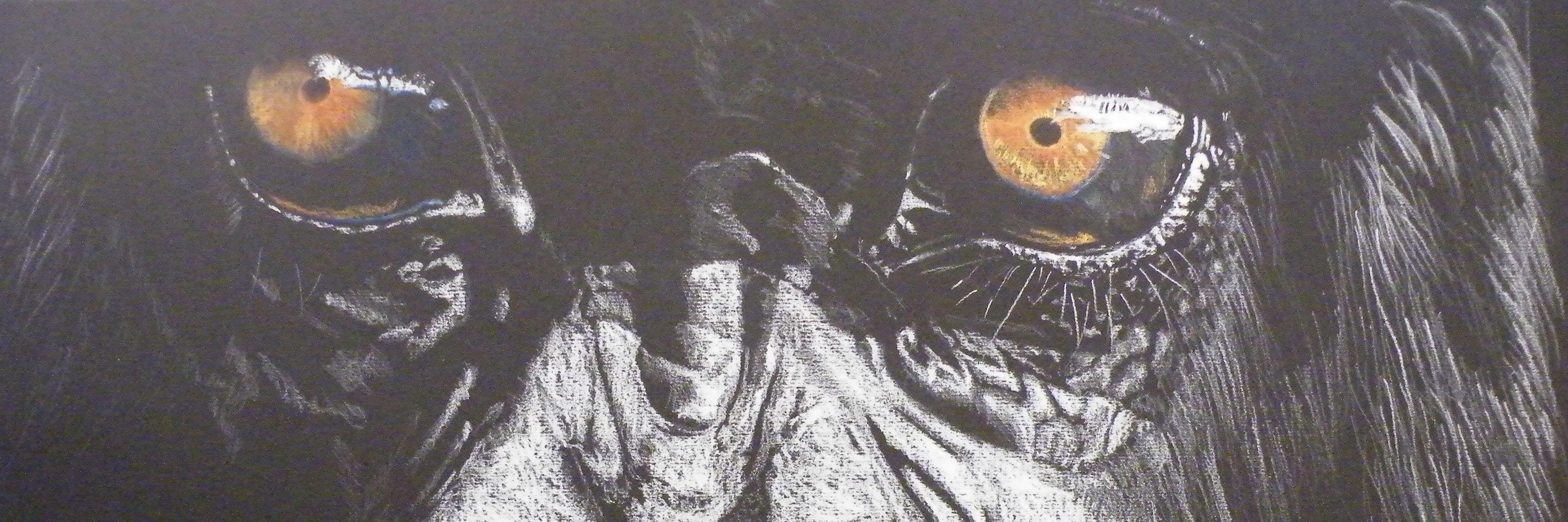 MikeMurtagh1's profile banner image