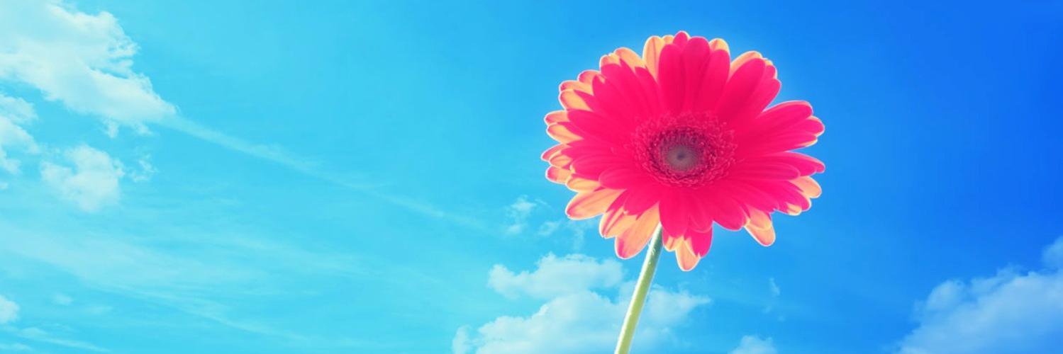 vaaleeriiaaa's profile banner image