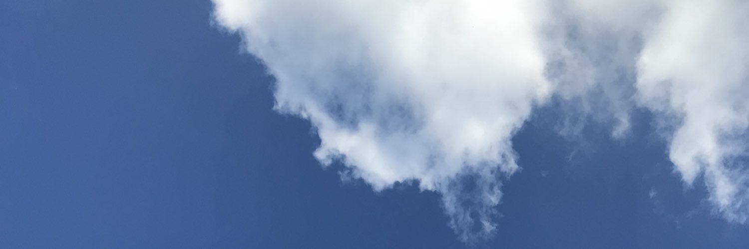 lemon_waaai's profile banner image