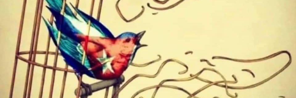 ThisTheRealLu's profile banner image