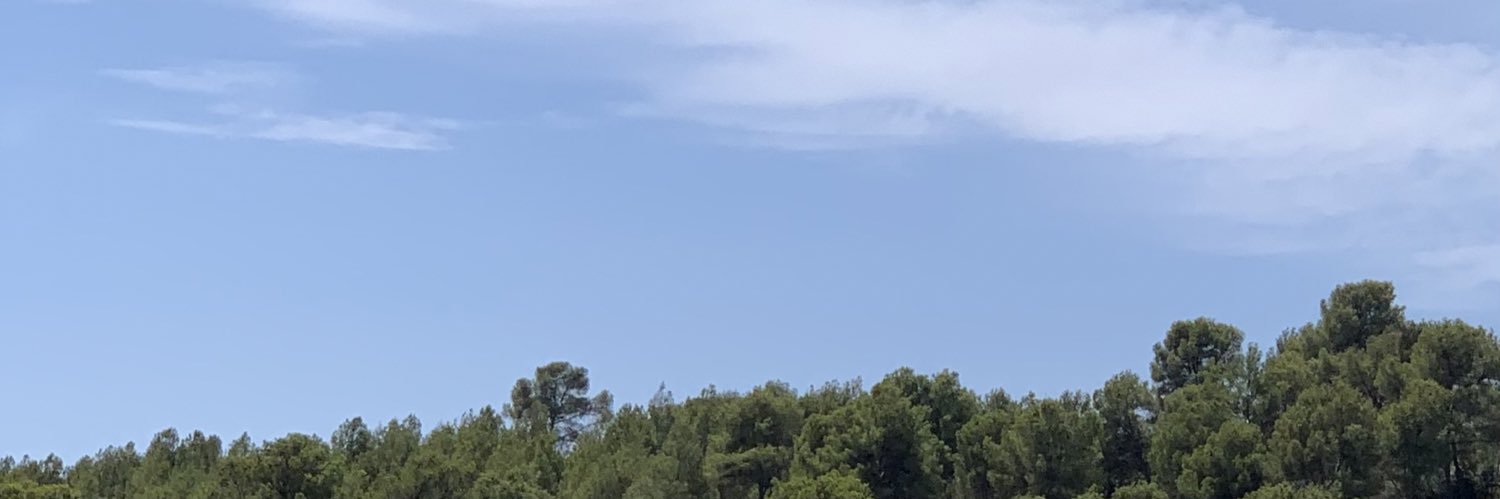 irispug_'s profile banner image