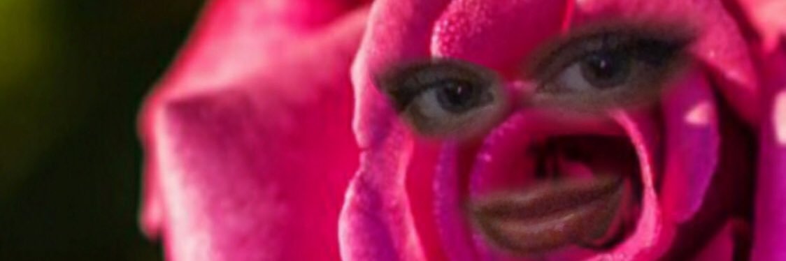 R0SANNE's profile banner image