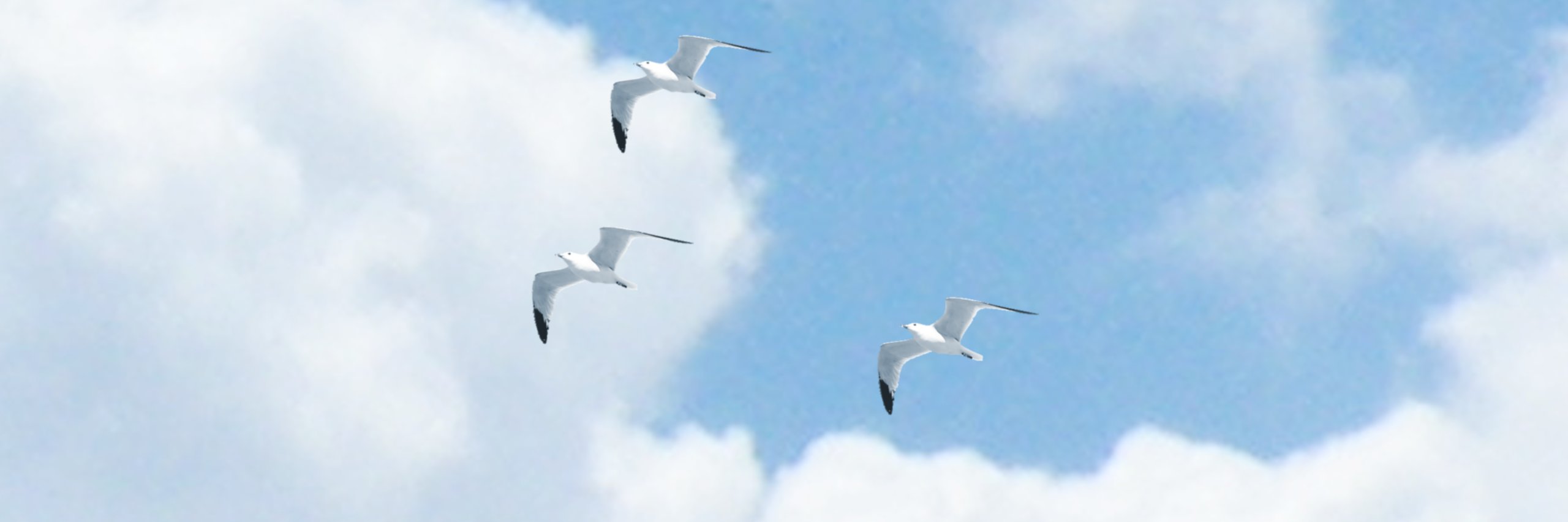 Software Libre, UCR banner