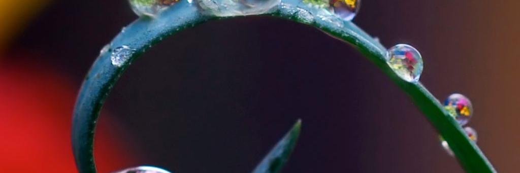 NatureMeetsDesign banner