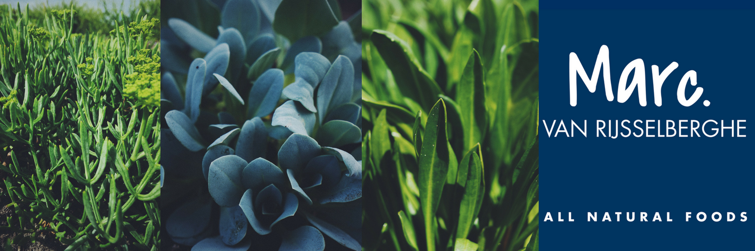 MarcFoods's profile banner image