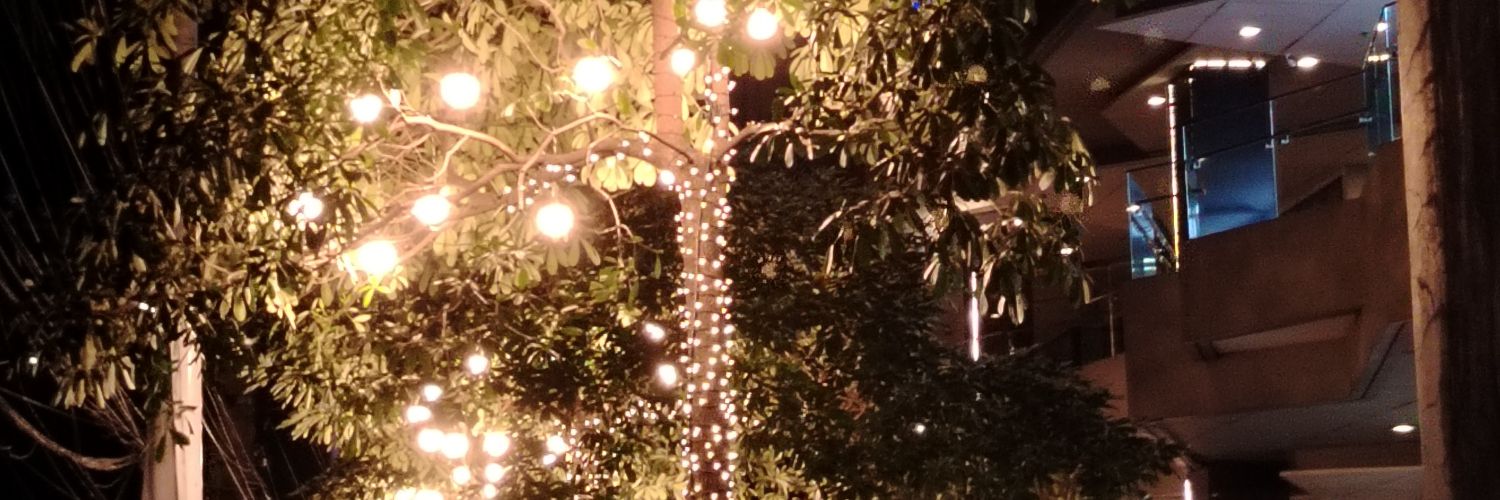 DaraMyLoves's profile banner image