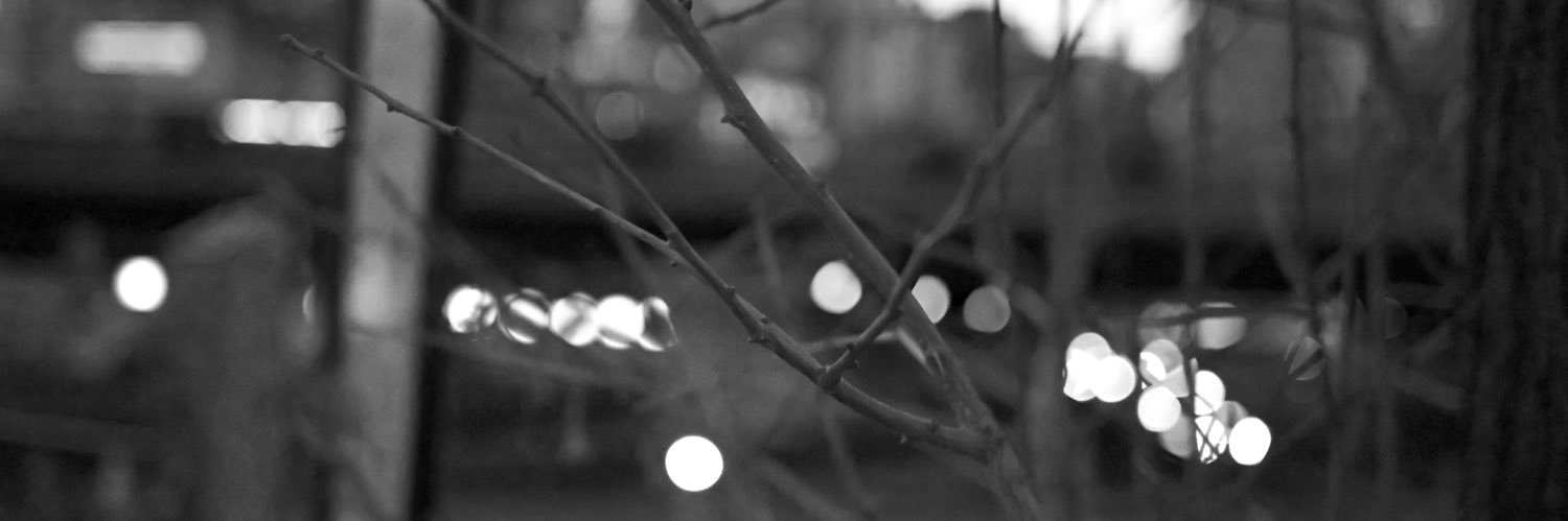 satryxe's profile banner image