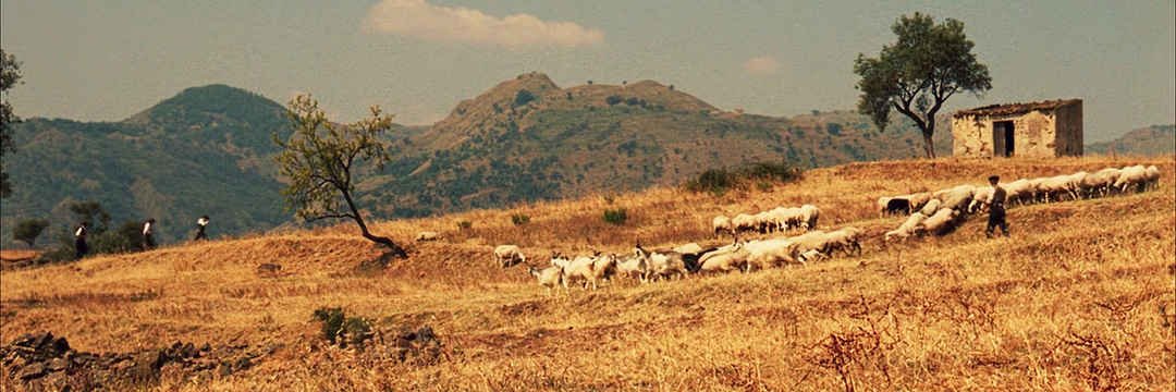 Barış Can Yeksin banner